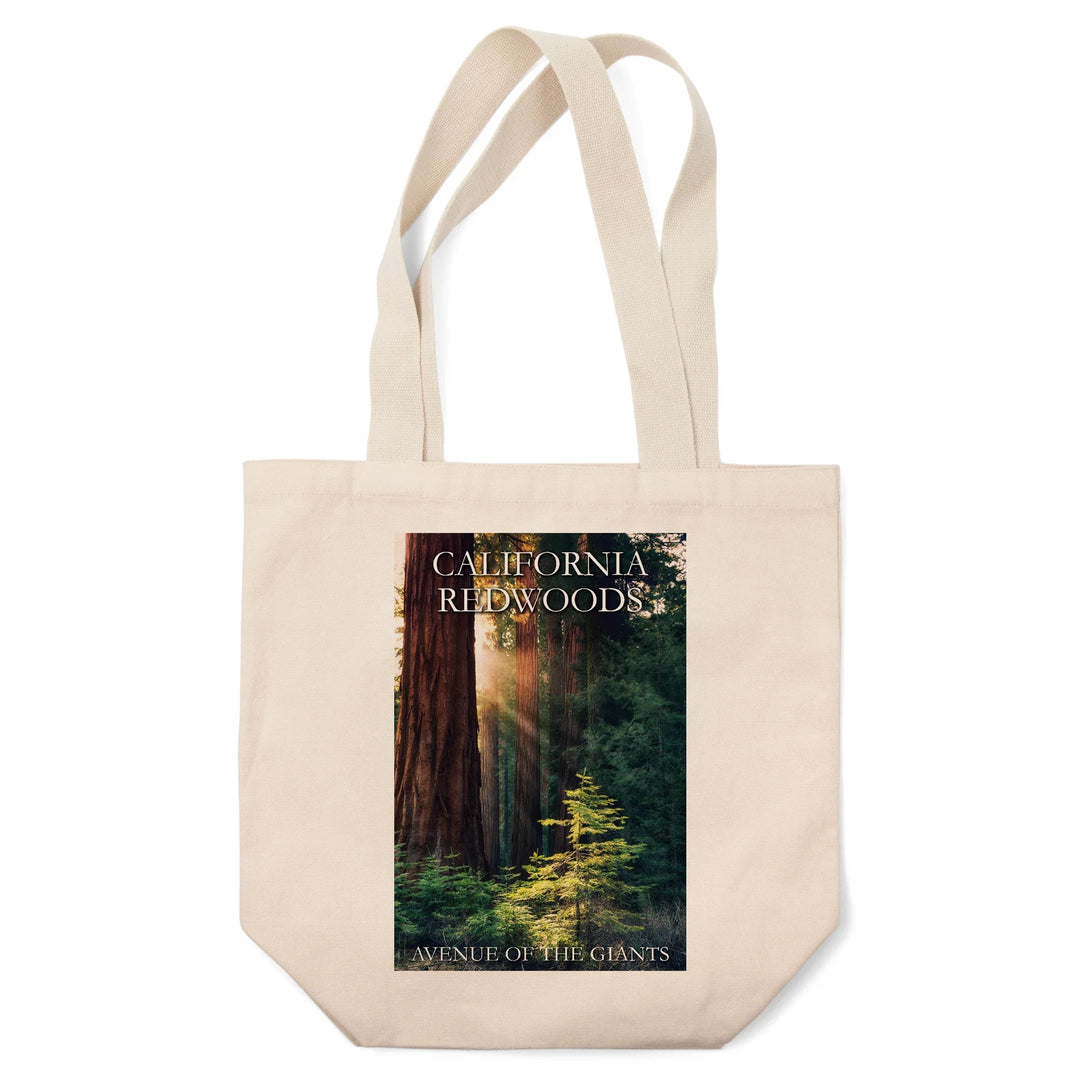 Redwood National Park, California, Sunlit Trees, Tote Bag