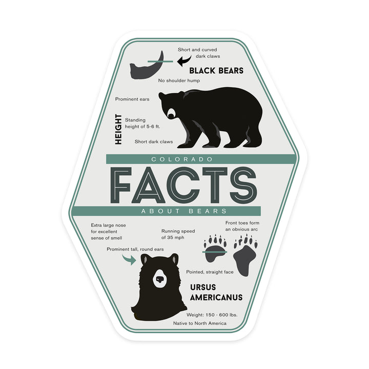 Colorado, Facts About Bears, Contour, Vinyl Sticker