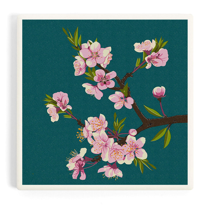 Cherry Blossoms, Letterpress, Coasters Coasters Lantern Press Coaster 