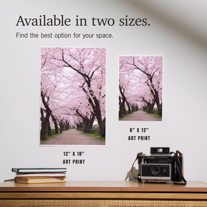 Cherry Orchard Blossoms, Art & Giclee Prints Art Lantern Press 