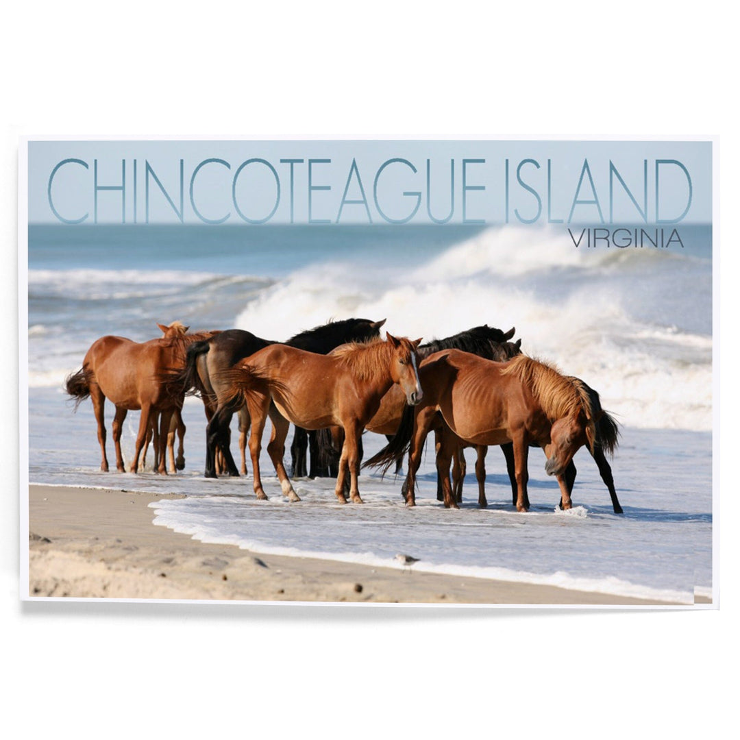 Chincoteague Island, Virginia, Horses on Beach, Art & Giclee Prints Art Lantern Press 