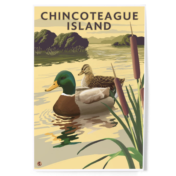 Chincoteague Island, Virginia, Mallard Ducks, Art & Giclee Prints Art Lantern Press 
