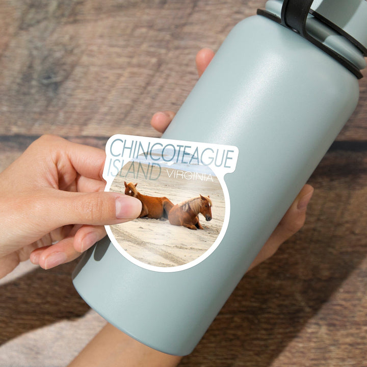 Chincoteague, Virginia, Wild Horses on Beach, Contour, Vinyl Sticker Sticker Lantern Press 