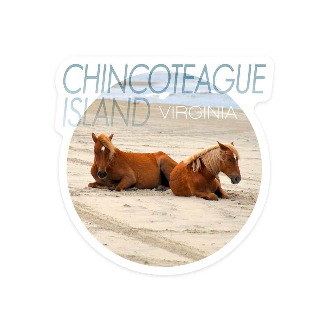 Chincoteague, Virginia, Wild Horses on Beach, Contour, Vinyl Sticker Sticker Lantern Press 