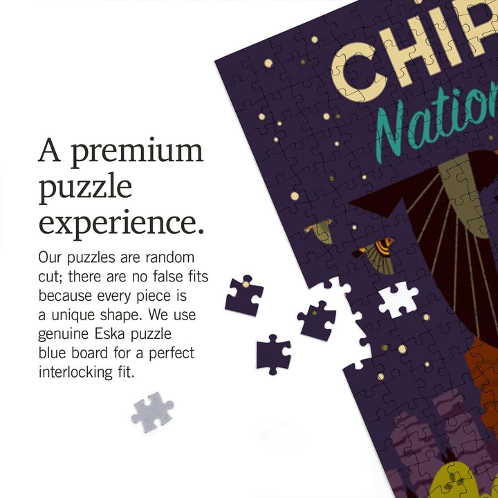 Chiricahua National Monument, Arizona, Night Scene, Geometric, Jigsaw Puzzle Puzzle Lantern Press 