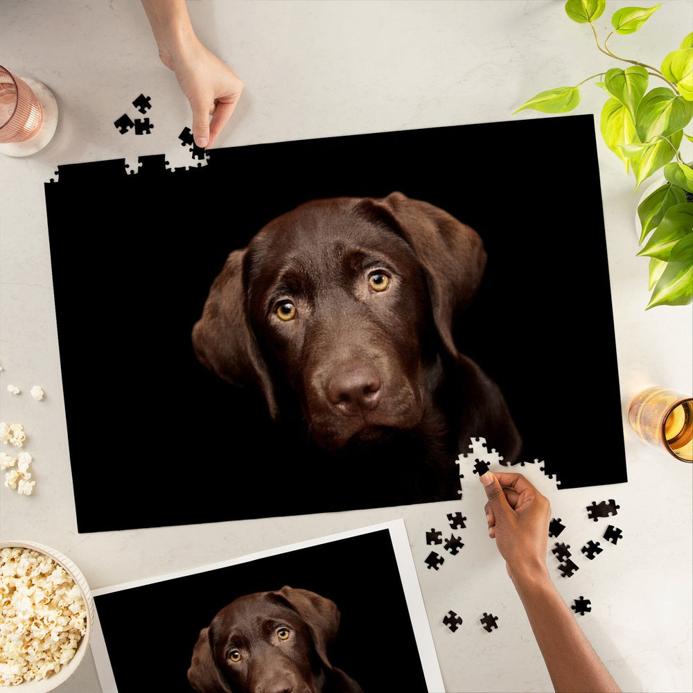 Chocolate Labrador Puppy, Jigsaw Puzzle Puzzle Lantern Press 