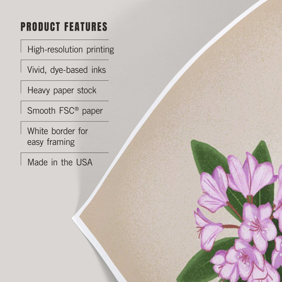 Coast Rhododendron, Vintage Flora - Lantern Press