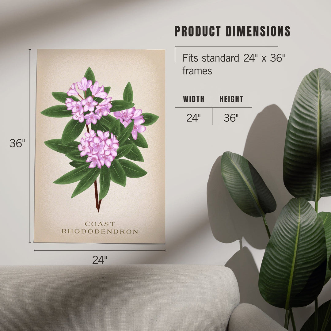 Coast Rhododendron, Vintage Flora - Lantern Press