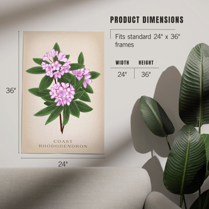 Coast Rhododendron, Vintage Flora - Lantern Press