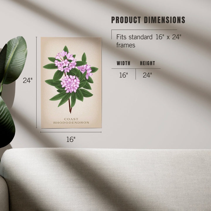 Coast Rhododendron, Vintage Flora - Lantern Press