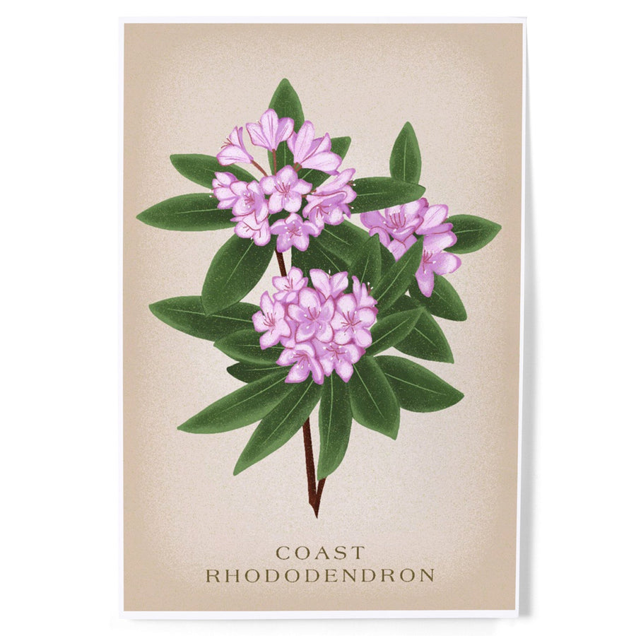 Coast Rhododendron, Vintage Flora - Lantern Press