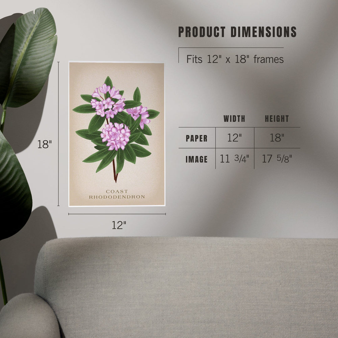 Coast Rhododendron, Vintage Flora - Lantern Press