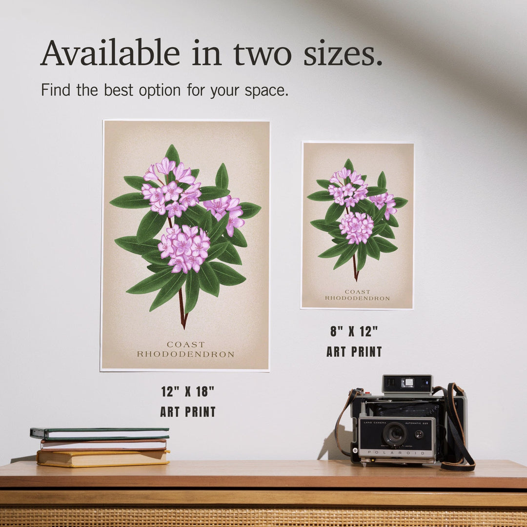 Coast Rhododendron, Vintage Flora - Lantern Press