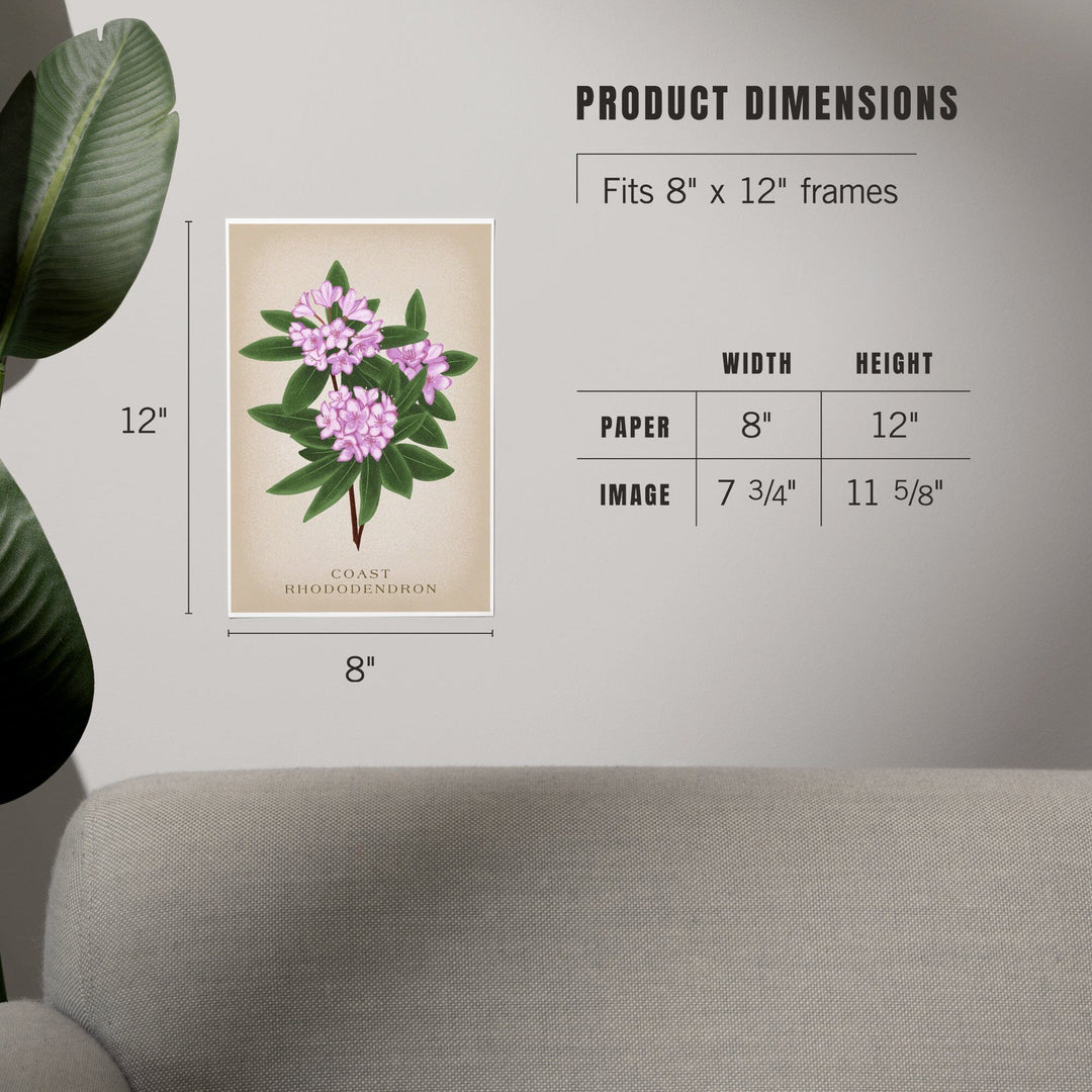 Coast Rhododendron, Vintage Flora - Lantern Press