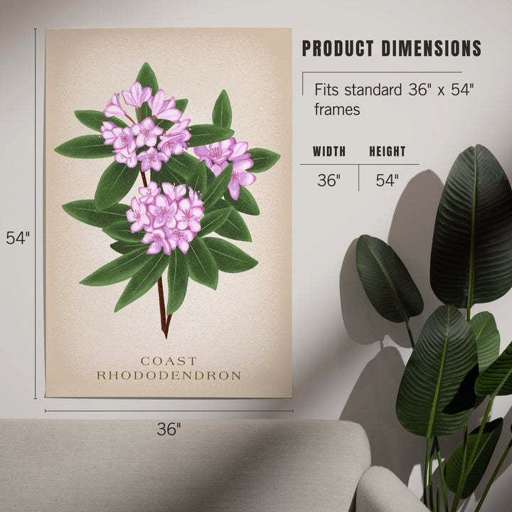Coast Rhododendron, Vintage Flora - Lantern Press