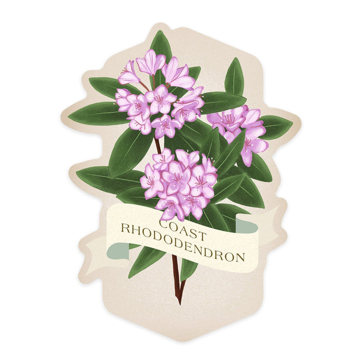 Coast Rhododendron, Vintage Flora, Contour, Vinyl Sticker Sticker Lantern Press 