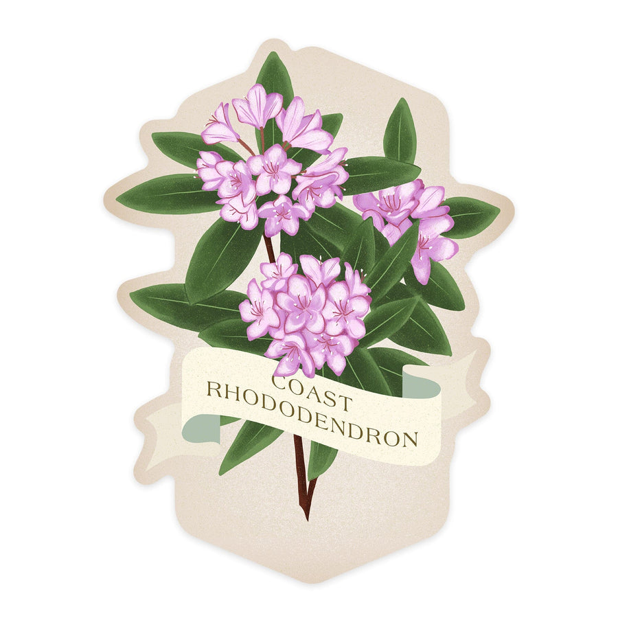 Coast Rhododendron, Vintage Flora, Contour, Vinyl Sticker Sticker Lantern Press 
