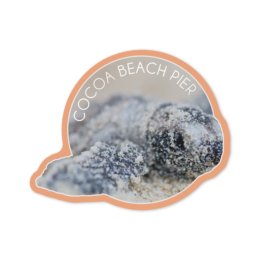 Cocoa Beach Pier, Florida, Hawksbill Turtle Hatching, Contour, Vinyl Sticker Sticker Lantern Press 