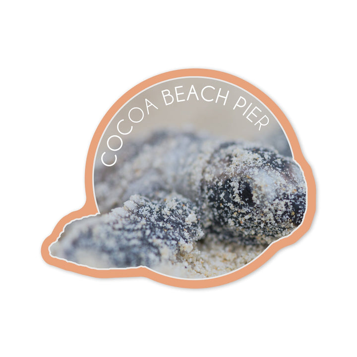 Cocoa Beach Pier, Florida, Hawksbill Turtle Hatching, Contour, Vinyl Sticker Sticker Lantern Press 