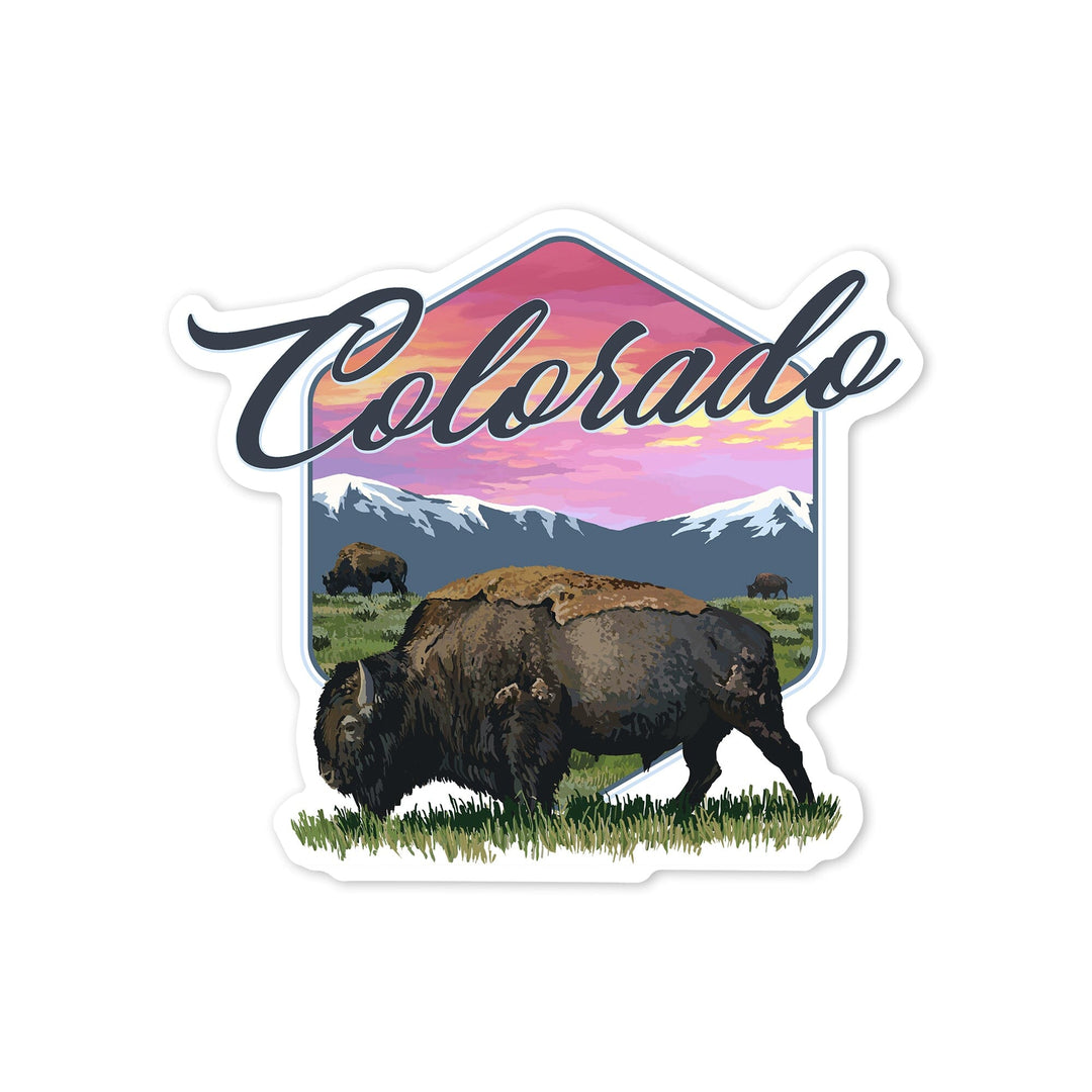 Colorado, Bison & Sunset, Contour, Lantern Press Artwork, Vinyl Sticker Sticker Lantern Press 