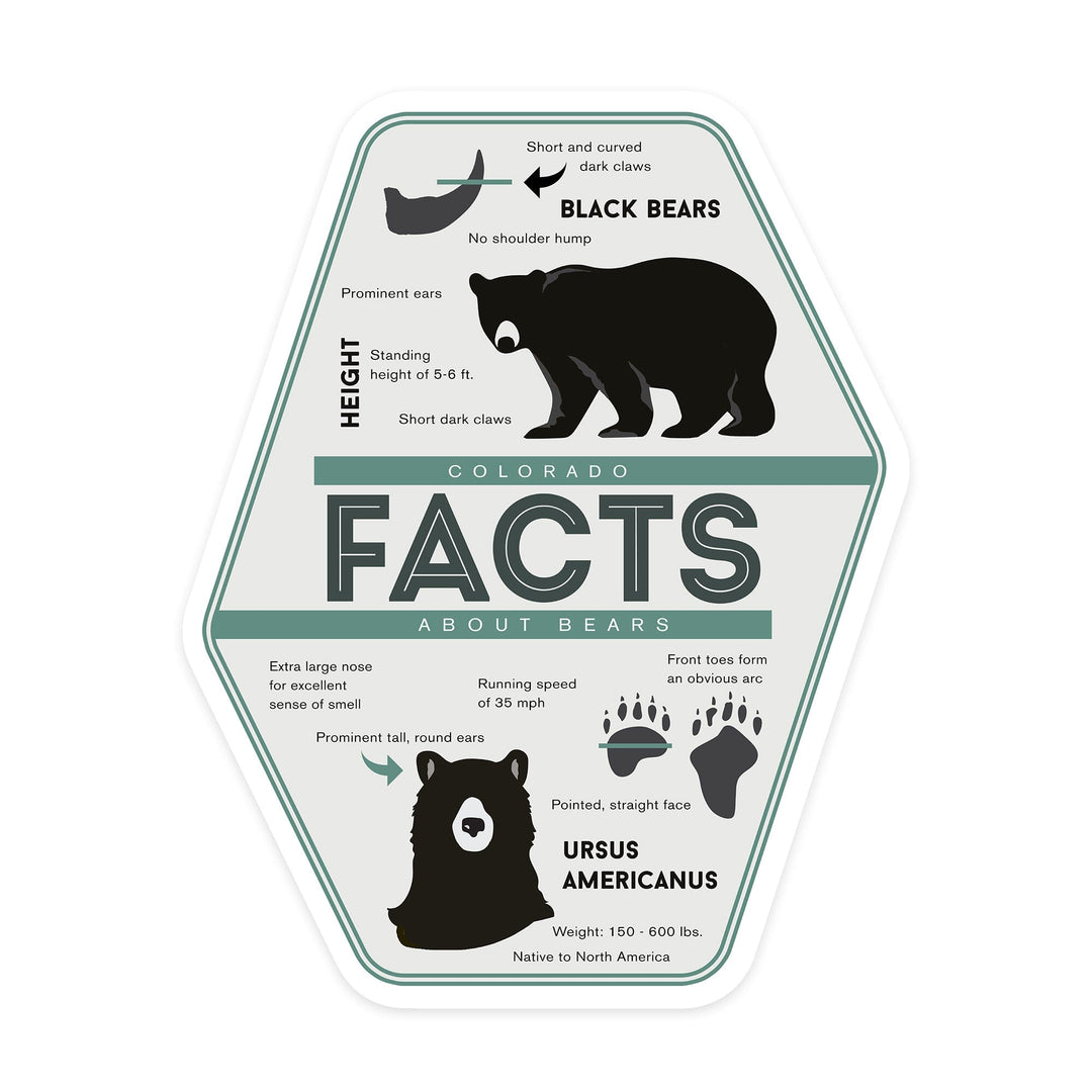 Colorado, Facts About Bears, Contour, Vinyl Sticker Sticker Lantern Press 