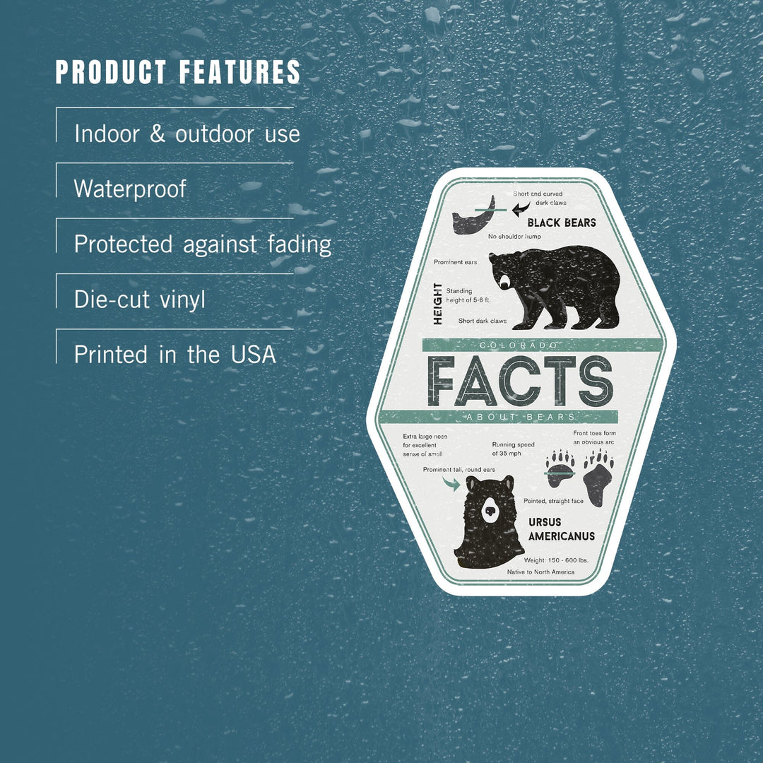 Colorado, Facts About Bears, Contour, Vinyl Sticker Sticker Lantern Press 