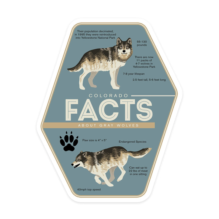 Colorado, Facts About Gray Wolves, Contour, Vinyl Sticker Sticker Lantern Press 