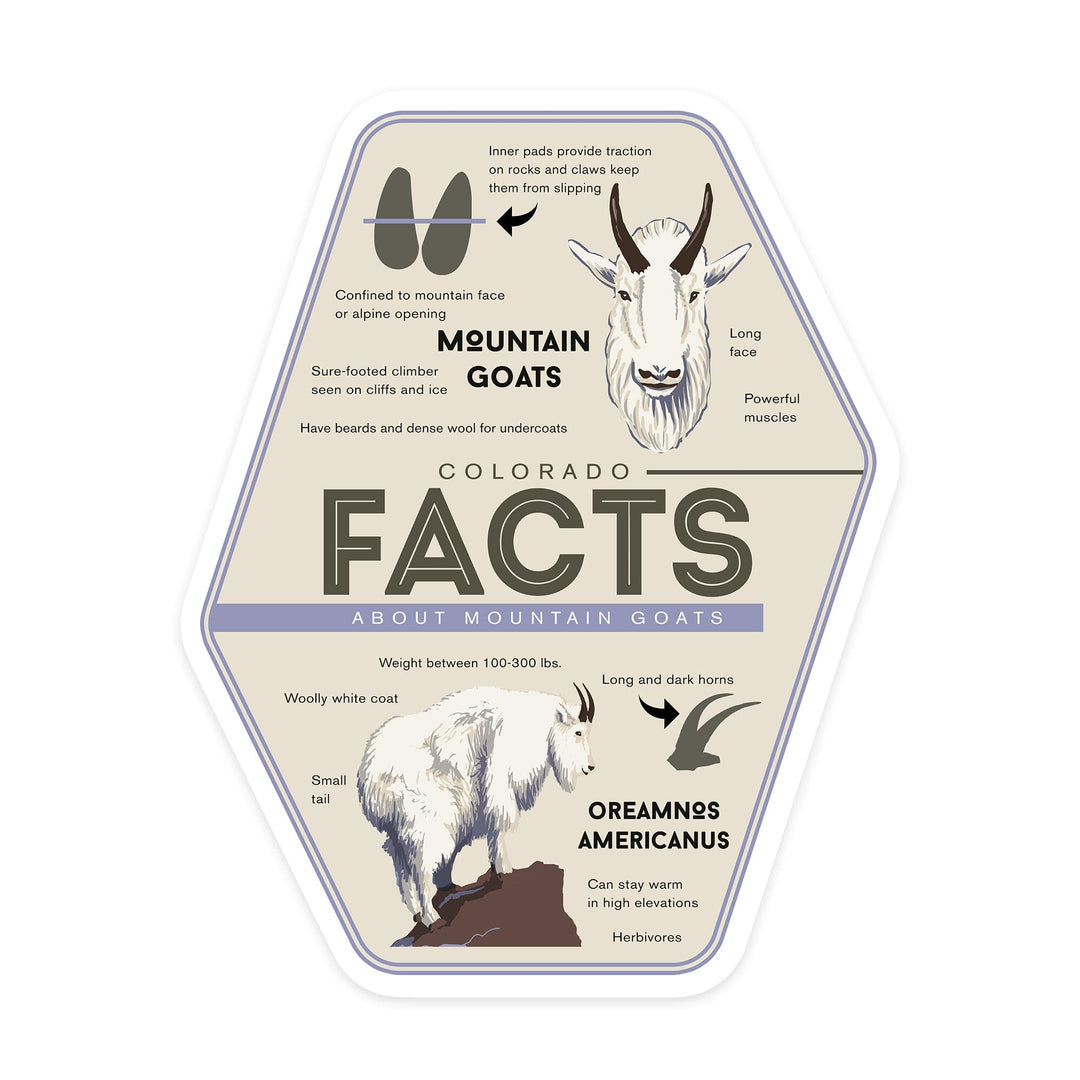 Colorado, Facts About Mountain Goats, Contour, Vinyl Sticker - Lantern Press