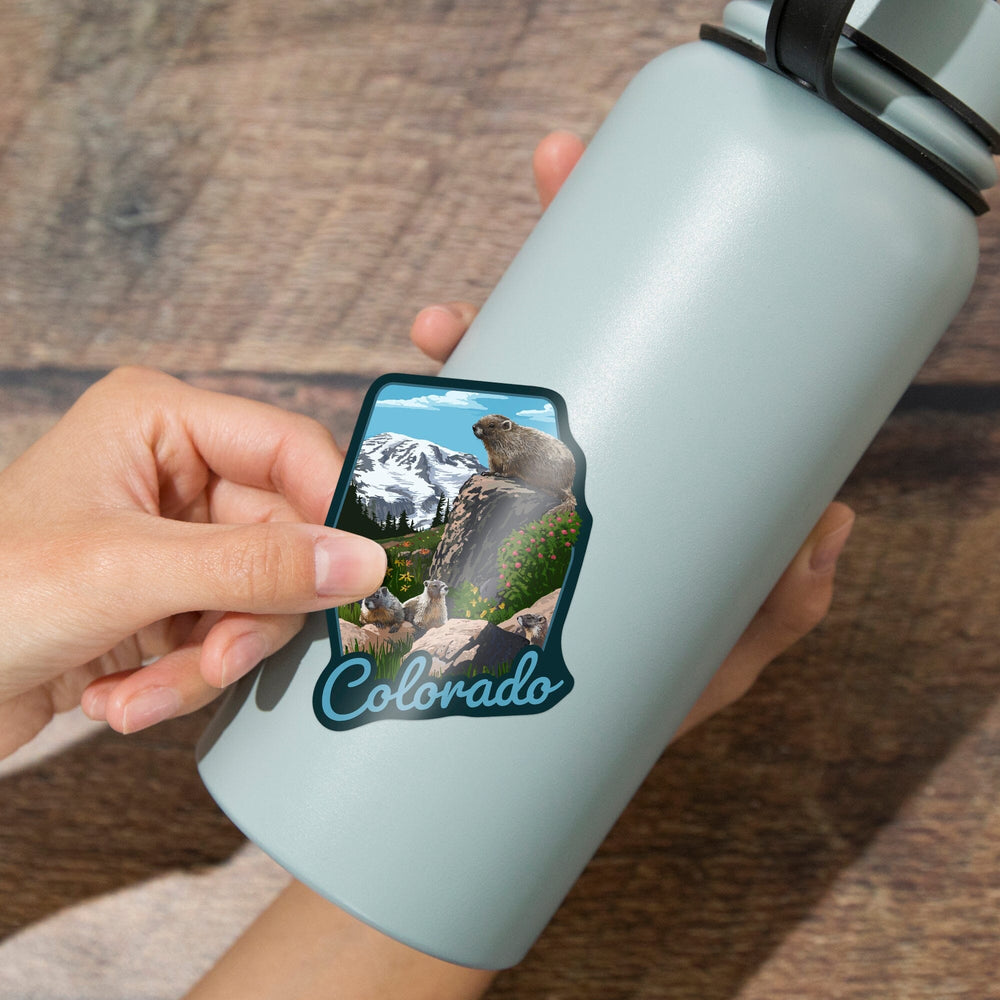 Colorado, Marmots, Contour, Lantern Press Artwork, Vinyl Sticker - Lantern Press
