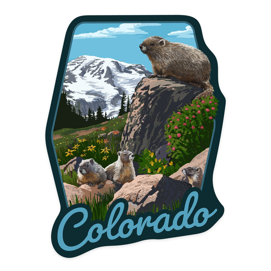 Colorado, Marmots, Contour, Lantern Press Artwork, Vinyl Sticker - Lantern Press