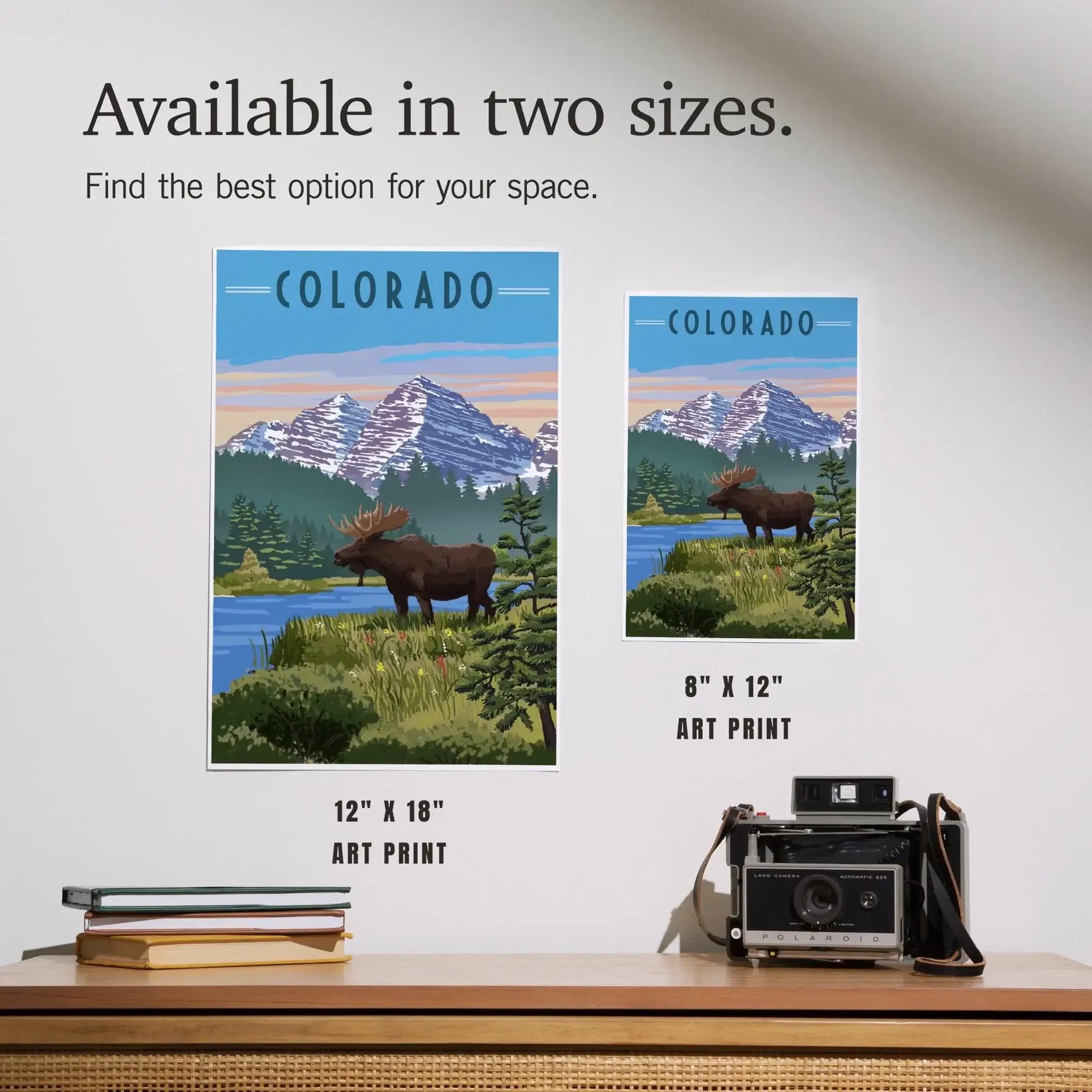 Colorado, Moose, Summer Scene, Maroon Bells art prints, metal