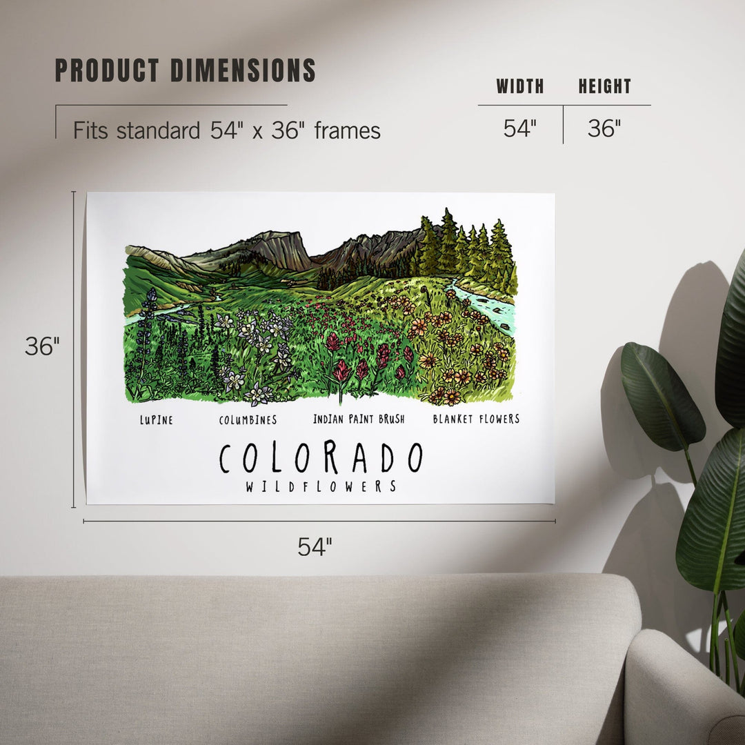Colorado, Rockies Wildflowers, Art & Giclee Prints Art Lantern Press 
