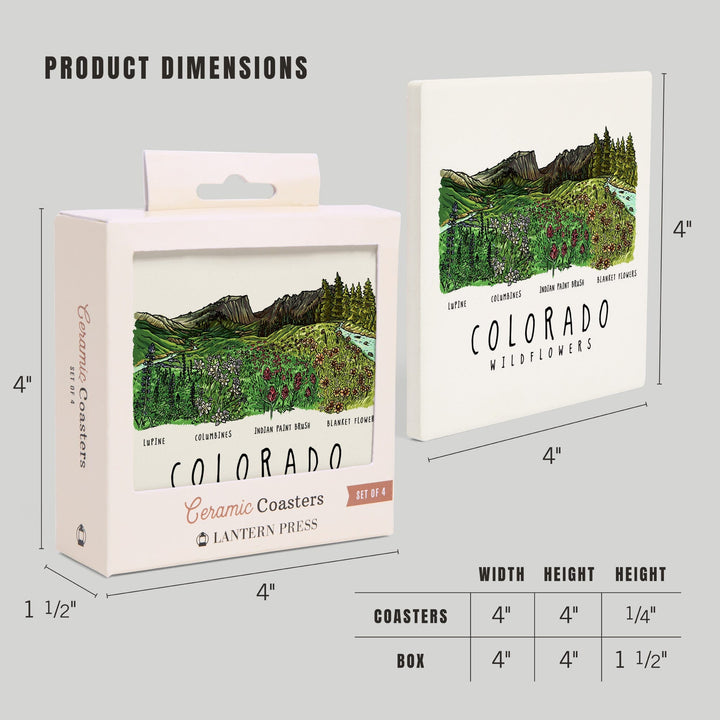 Colorado, Rockies Wildflowers, Lantern Press Artwork, Coaster Set - Lantern Press