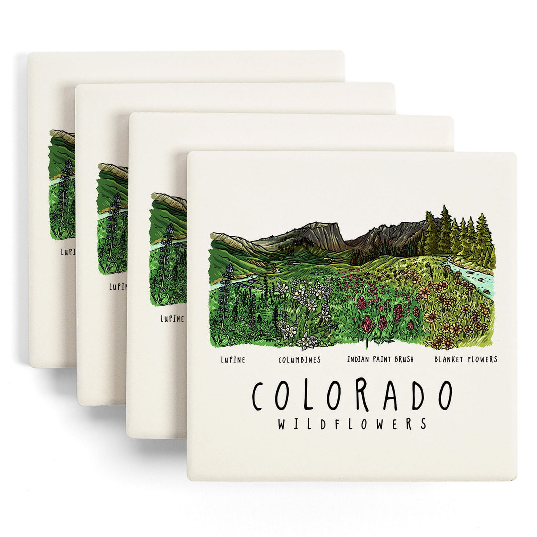 Colorado, Rockies Wildflowers, Lantern Press Artwork, Coaster Set - Lantern Press