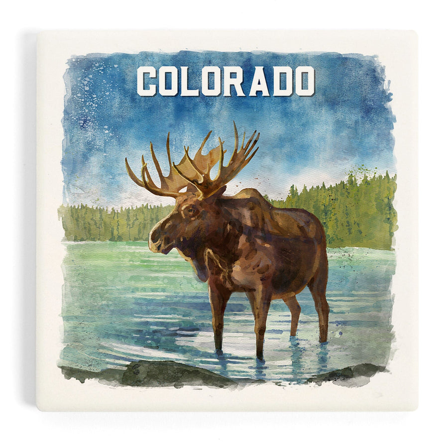 Colorado, Watercolor Study, Moose, Coasters Coasters Lantern Press 