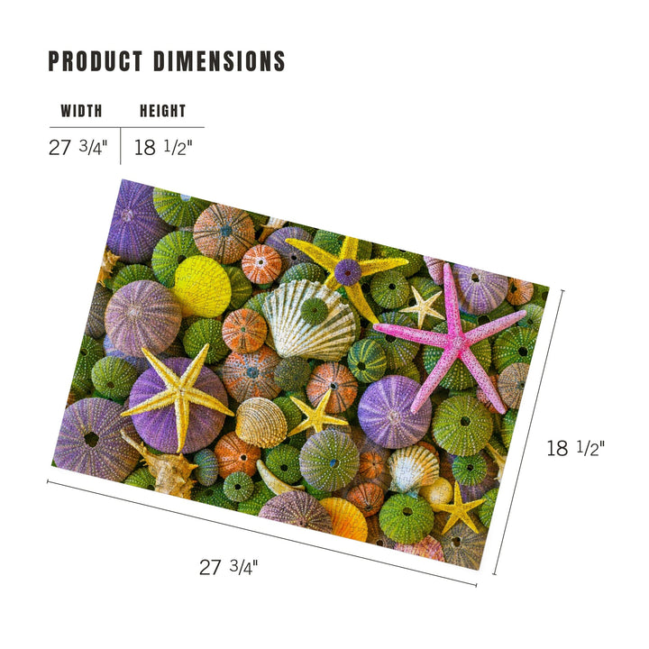 Colorful Sea Stars, Urchins, and Shells, Jigsaw Puzzle Puzzle Lantern Press 