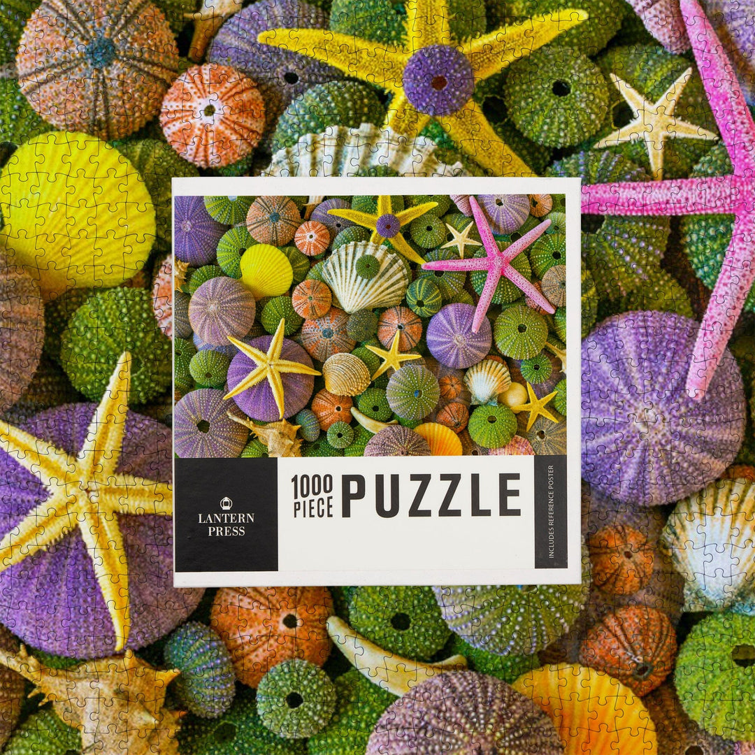 Colorful Sea Stars, Urchins, and Shells, Jigsaw Puzzle Puzzle Lantern Press 