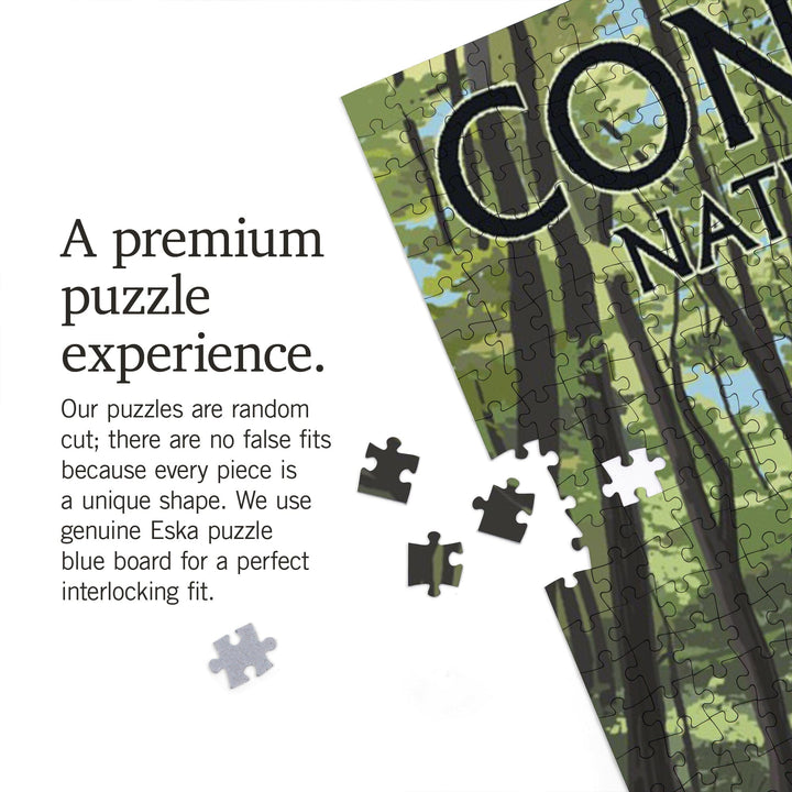 Congaree National Park, South Carolina, River View, Painterly Series, Jigsaw Puzzle Puzzle Lantern Press 