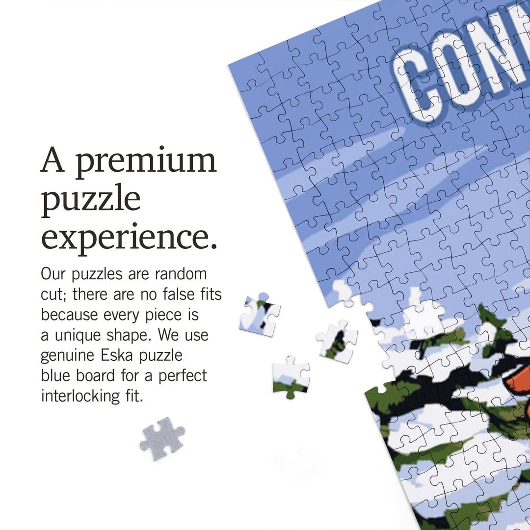 Connecticut, Signpost, Ski and Snow, Jigsaw Puzzle Puzzle Lantern Press 
