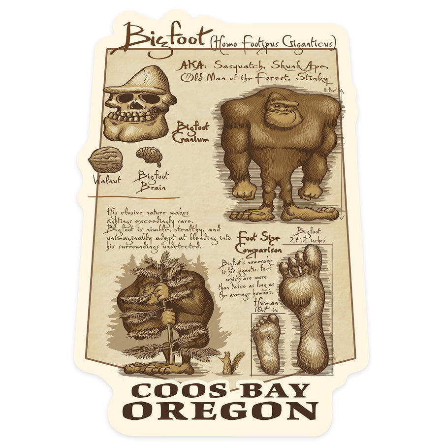 Coos Bay, Oregon, Bigfoot da Vinci, Contour, Vinyl Sticker - Lantern Press