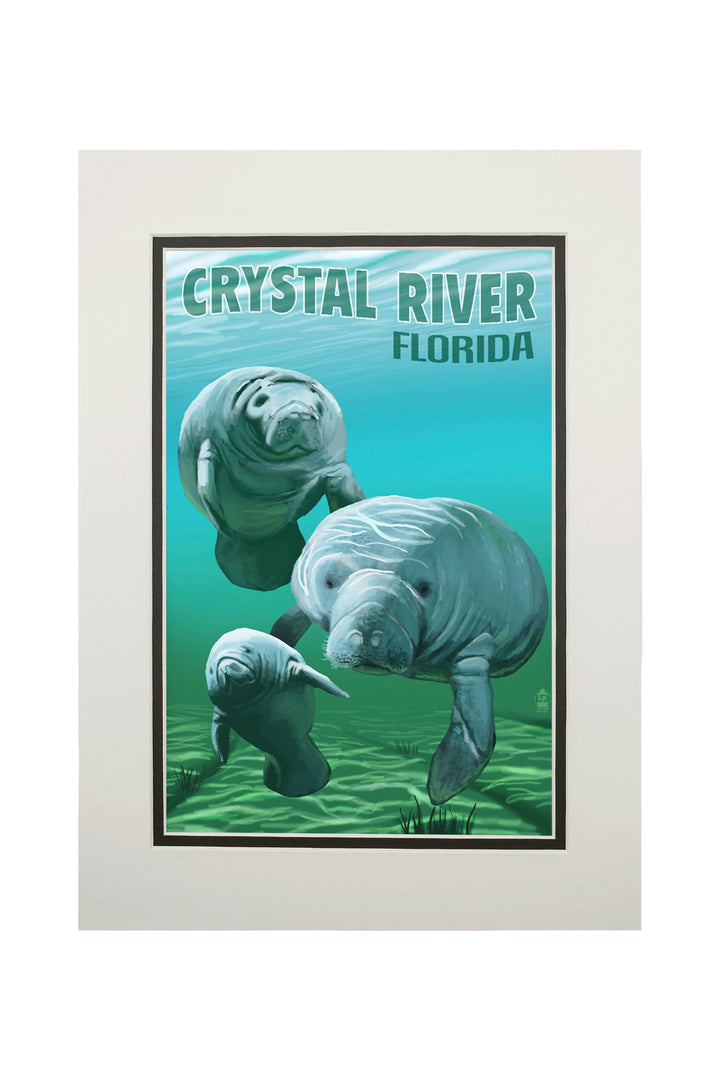 Crystal River, Florida, Manatees, Art & Giclee Prints - Lantern Press