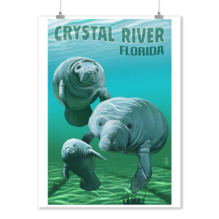 Crystal River, Florida, Manatees, Art & Giclee Prints - Lantern Press