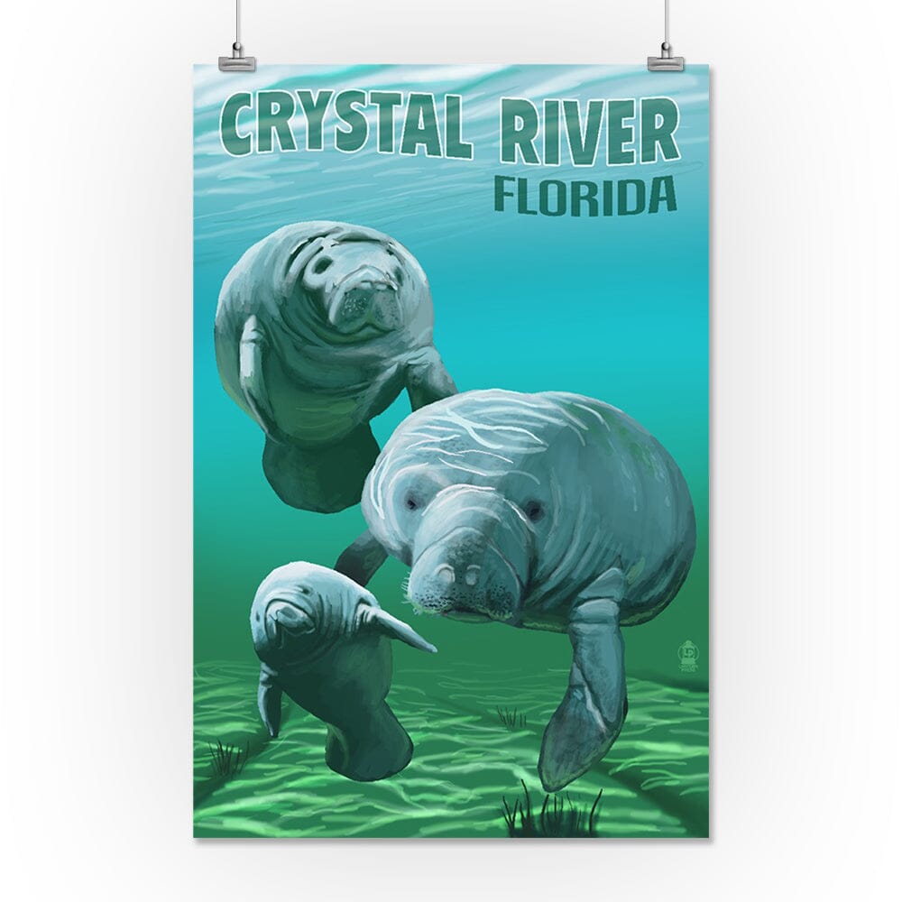 Crystal River, Florida, Manatees, Art & Giclee Prints - Lantern Press