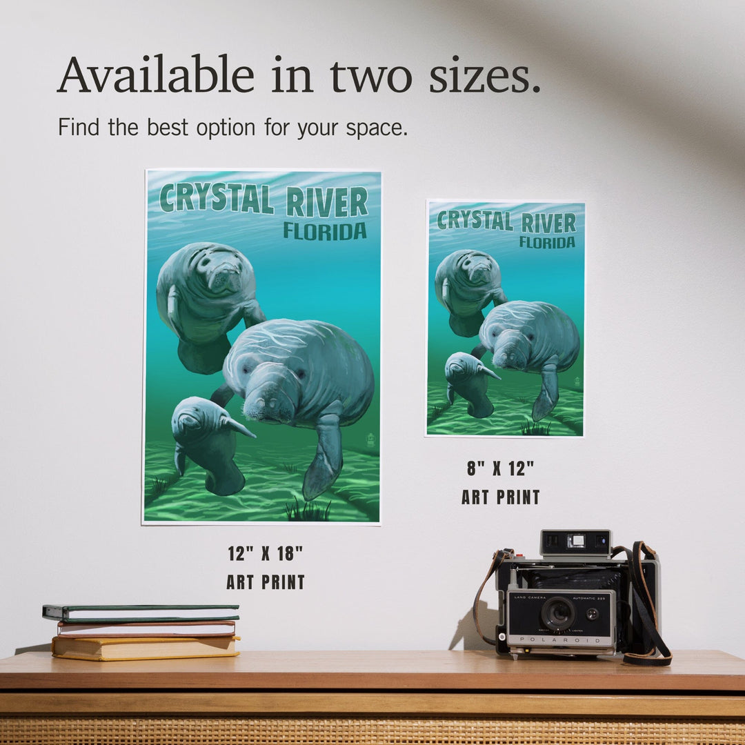 Crystal River, Florida, Manatees, Art & Giclee Prints - Lantern Press