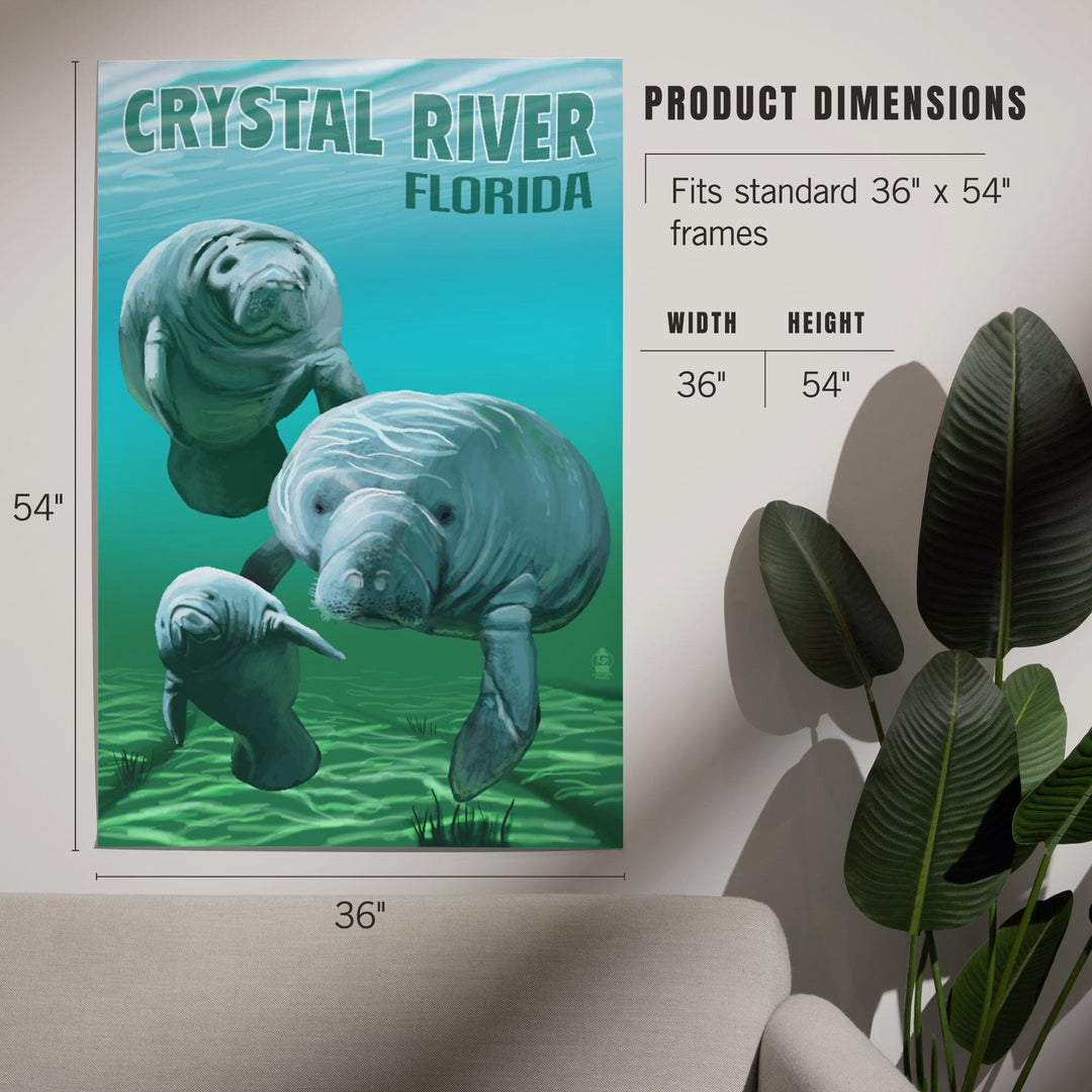 Crystal River, Florida, Manatees, Art & Giclee Prints - Lantern Press