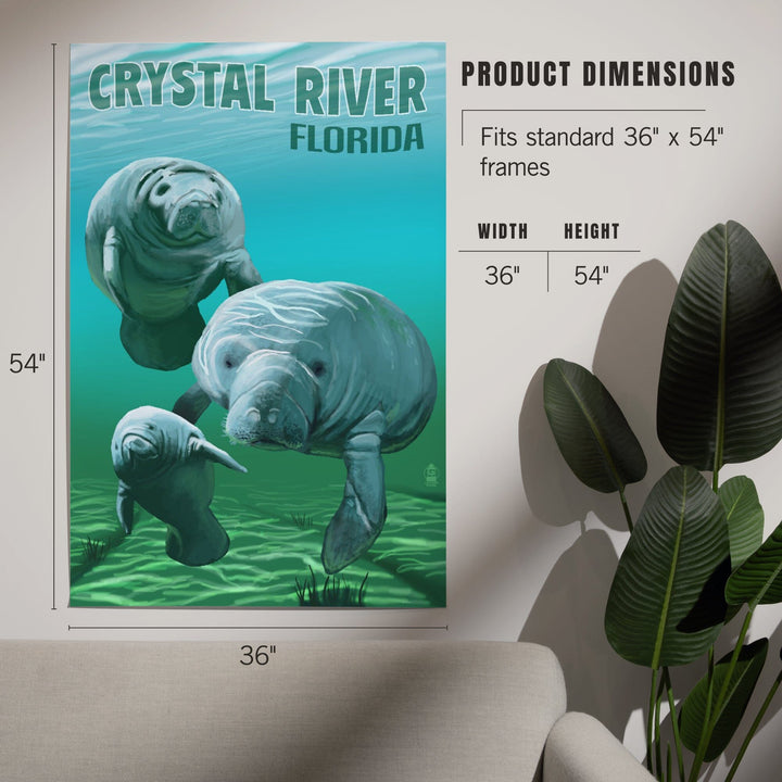 Crystal River, Florida, Manatees, Art & Giclee Prints - Lantern Press