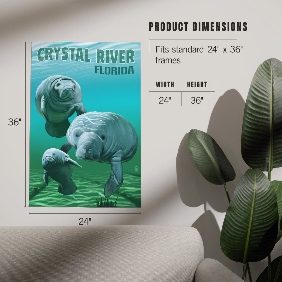 Crystal River, Florida, Manatees, Art & Giclee Prints - Lantern Press