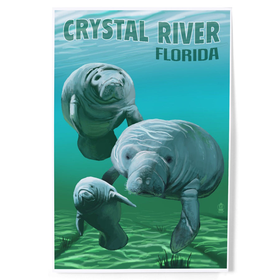 Crystal River, Florida, Manatees, Art & Giclee Prints - Lantern Press