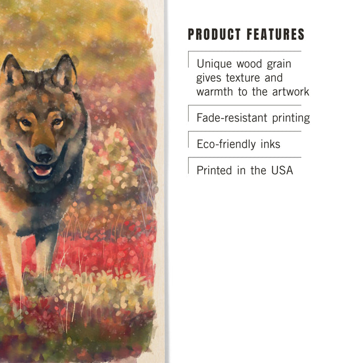 Watercolor Study, Gray Wolf, Wood Signs and Postcards