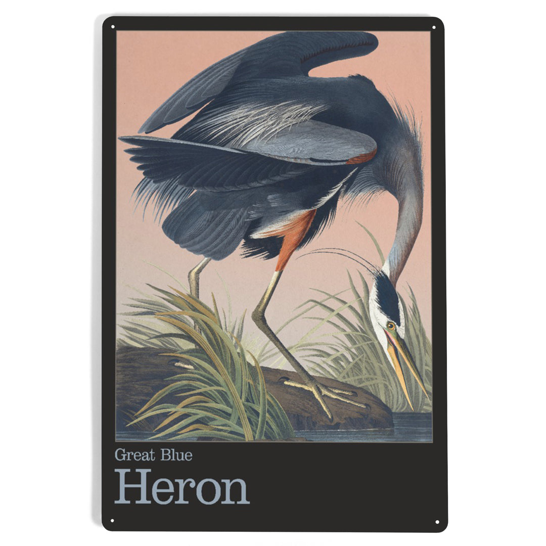 Audubon Birds of North America, Blue Heron, 12x18 Metal Sign